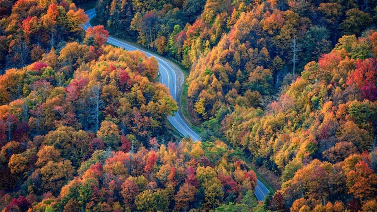 Hébergement de vacances Romantic, Honeymoon In The Smokies! Gatlinburg
