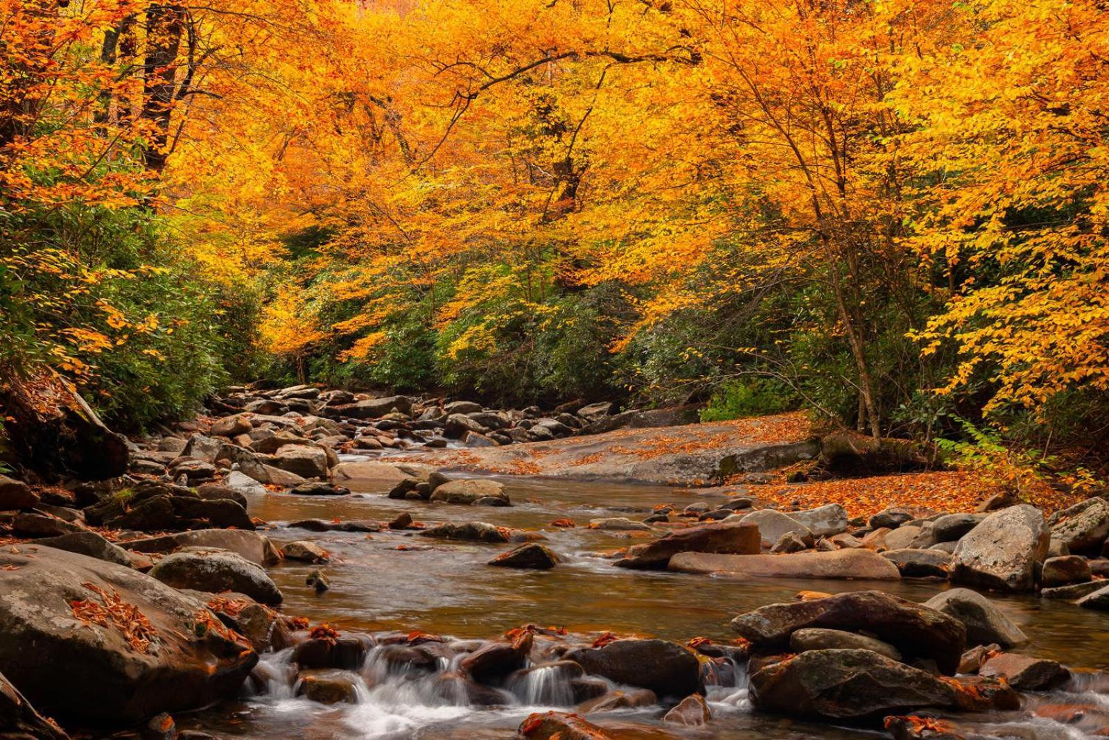 Romantic, Honeymoon In The Smokies! * Gatlinburg